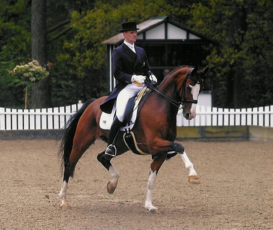 Rialto Allegro unter Harald Ricken