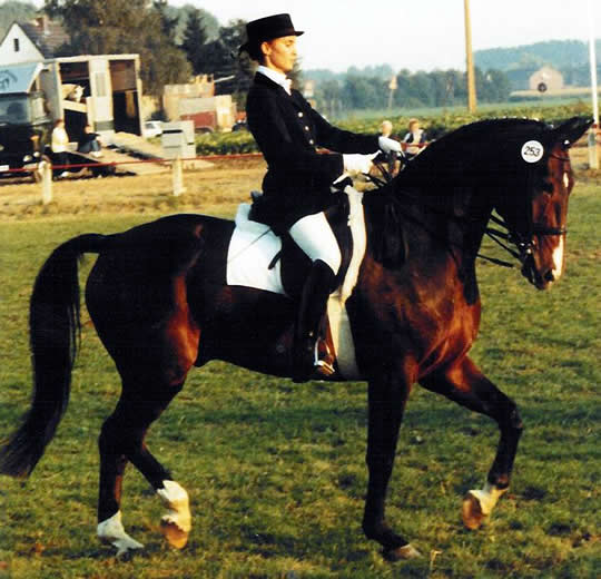 Rapallo unter Tanja Perlitschke