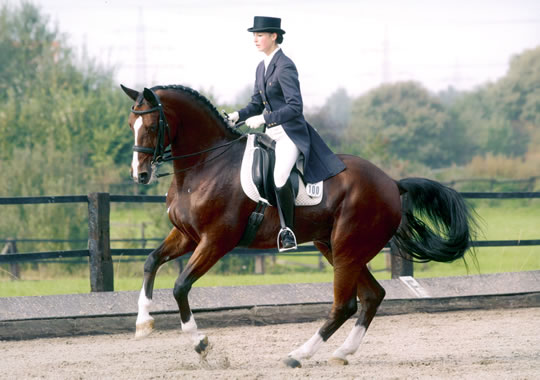 Rossini unter Anja Kaupmannsennecke